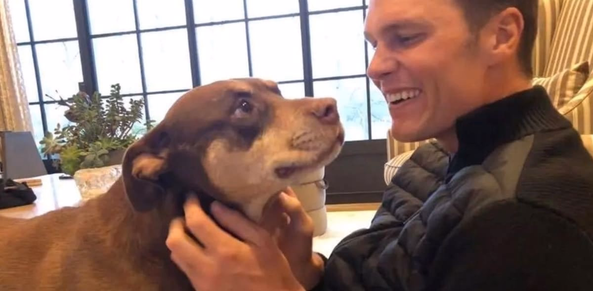 Tom Brady reveals current dog Junie is a clone of late pet Lua