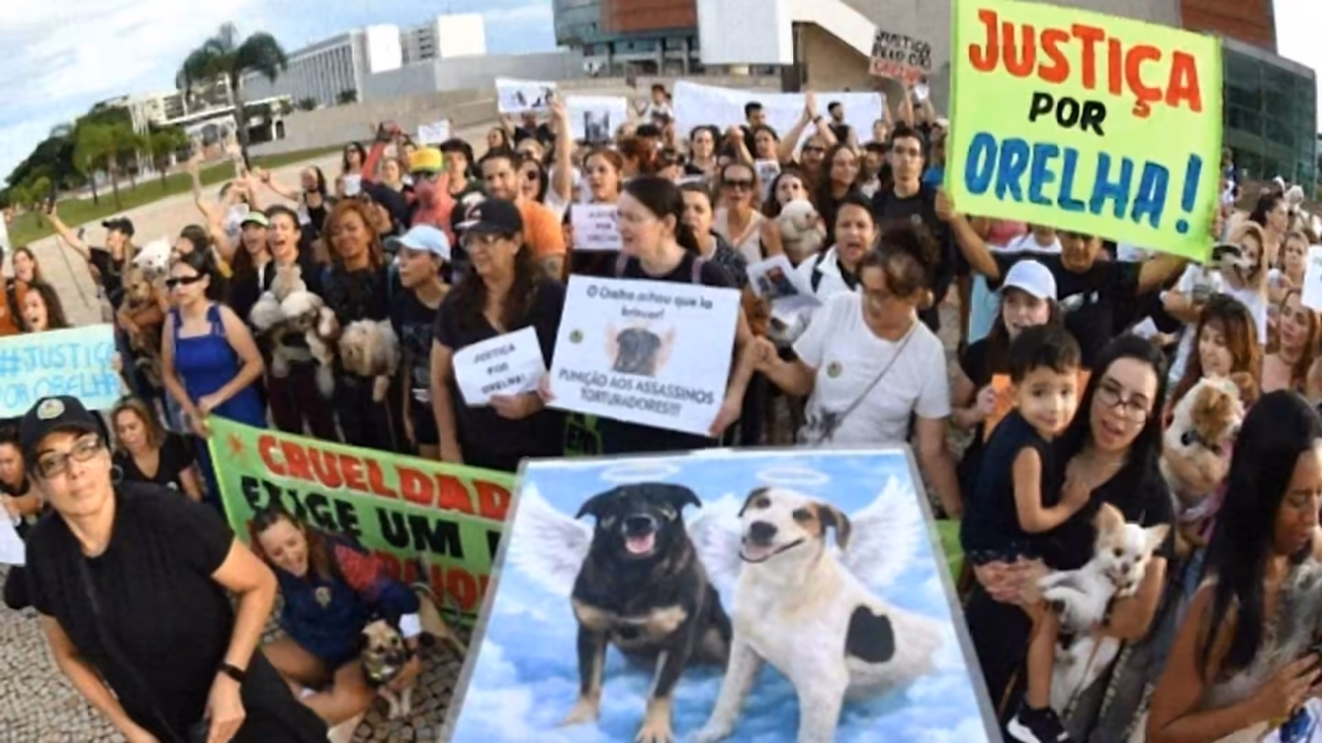 Death of dog Orelha sparks protests across Brazil