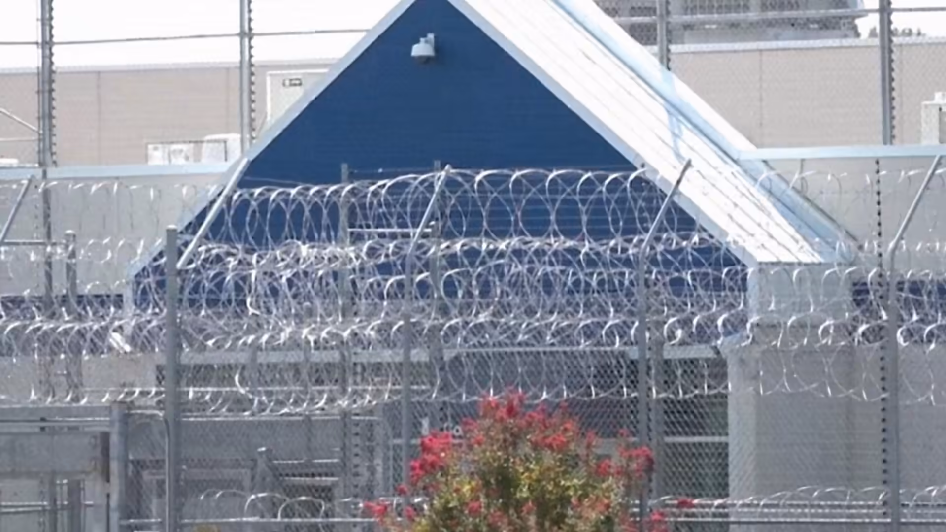 Appeals court rejects Trump administration's mandatory ICE detention policy