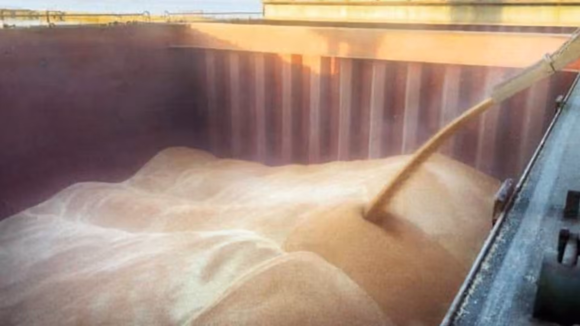 Ukraine prepares sanctions on grain smugglers as Russian exports continue