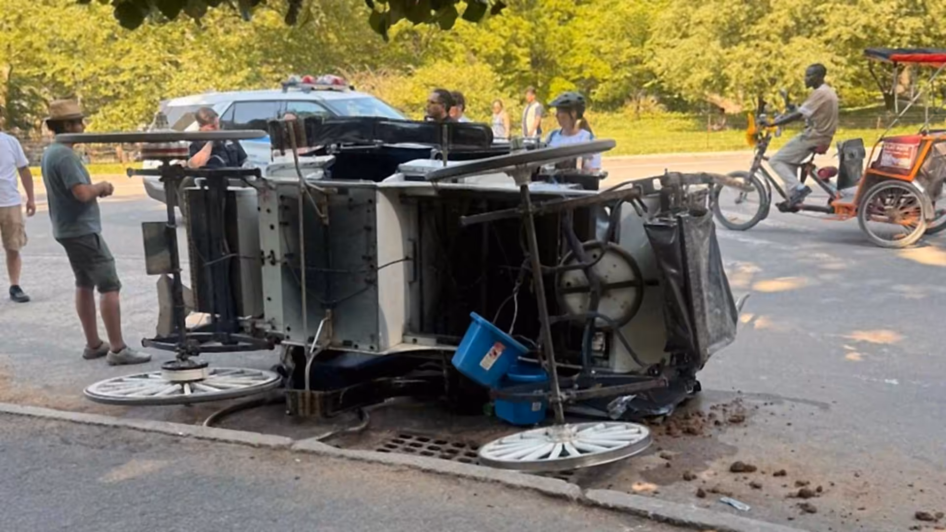 Horse carriage overturns after collision in Central Park