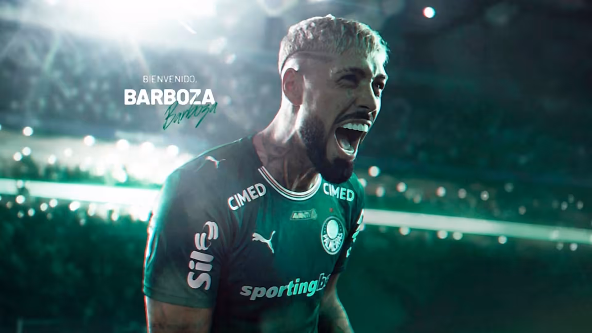 Palmeiras signs defender Alexander Barboza from Botafogo
