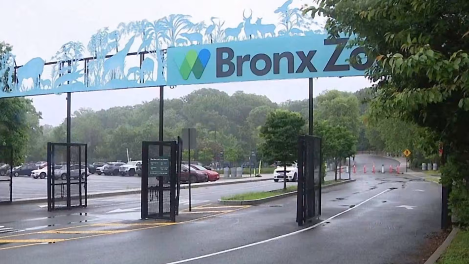 Bronx Zoo keeper bitten by crocodile during enclosure cleaning