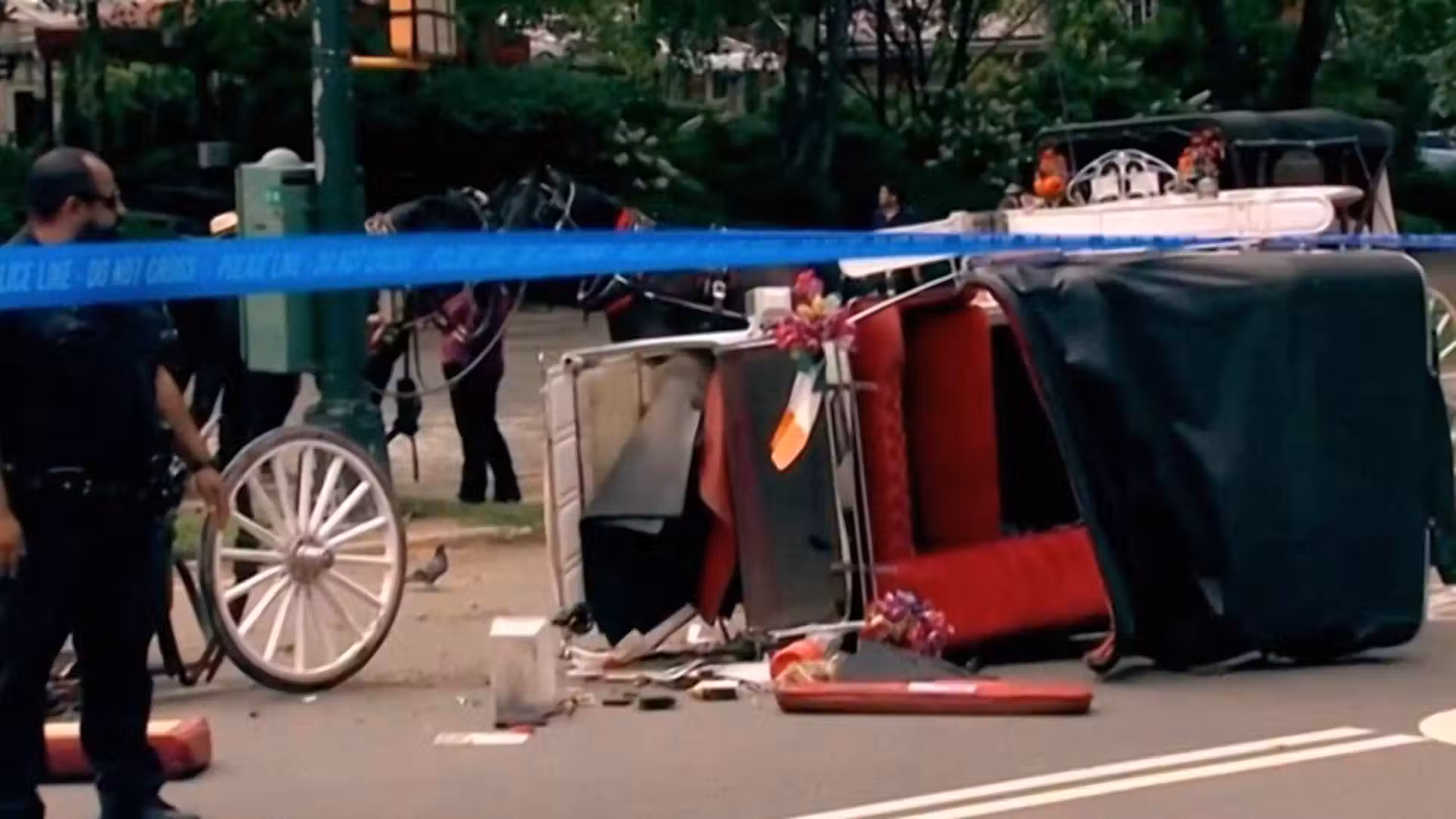 New York leaders push to ban horse carriage industry after teen's death