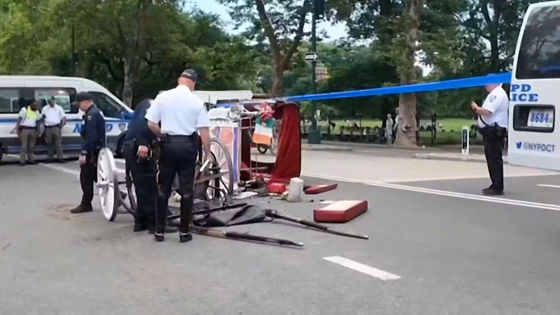 NYC officials push to ban horse-drawn carriages after teen's death