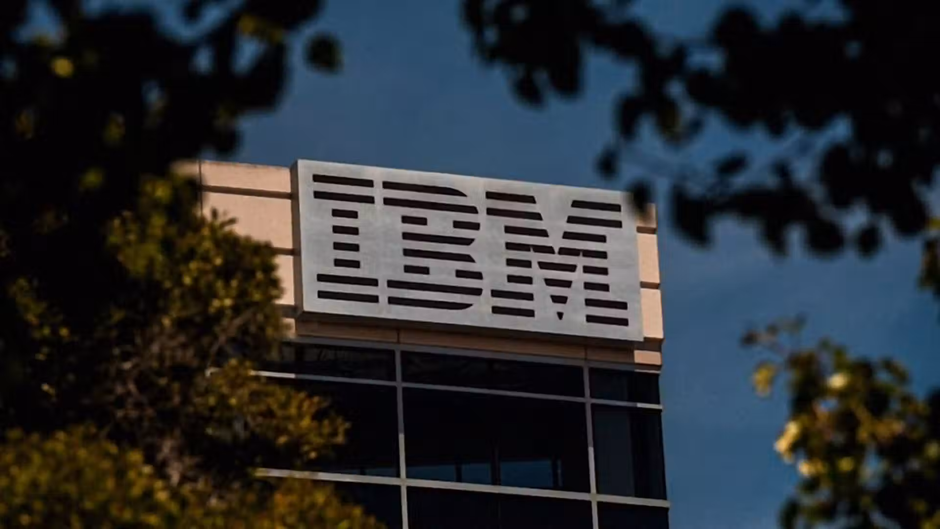 IBM shares plunge 25% after company warns of weak quarterly results