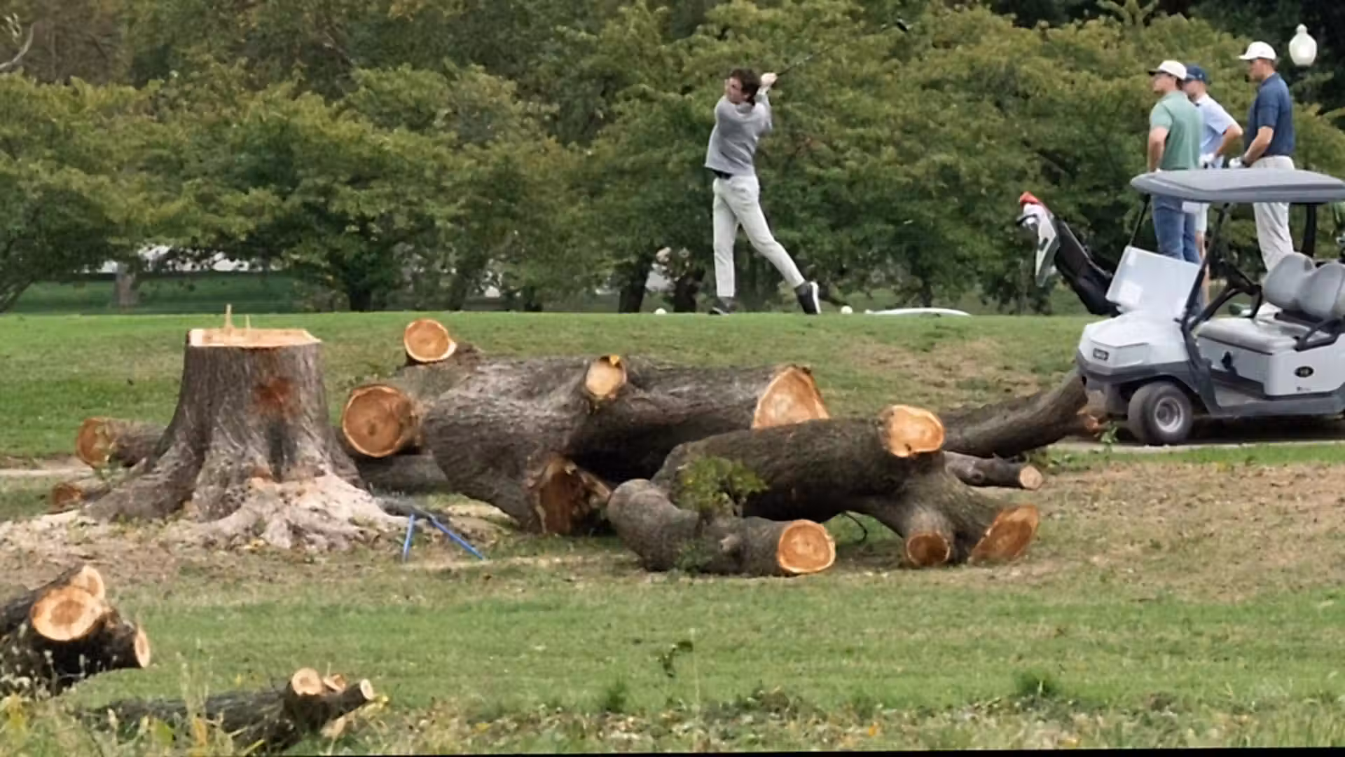 Federal judge rebukes Justice Department over tree removal at D.C. golf course