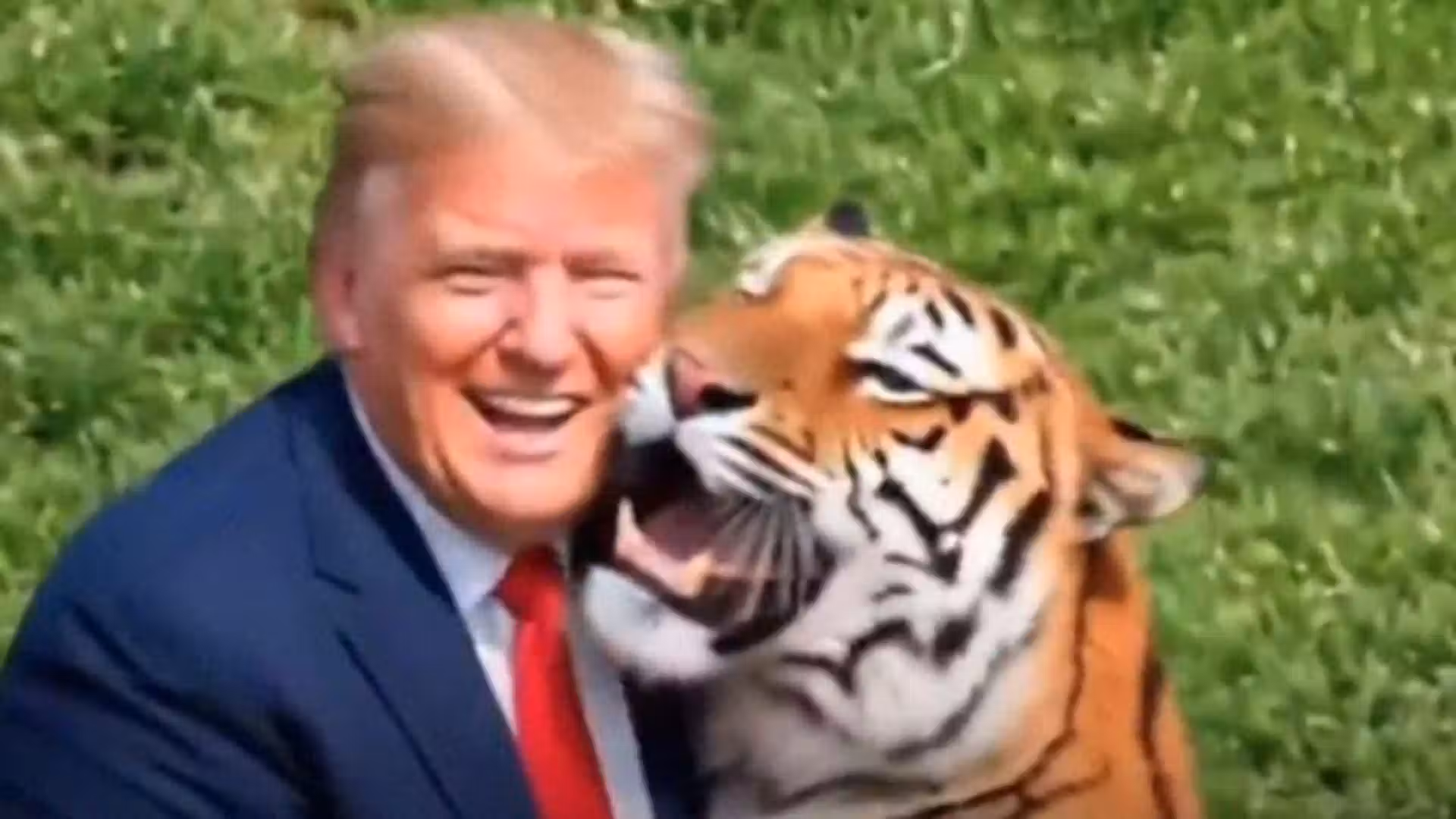 Trump posts AI video of himself wrestling tiger that killed British man